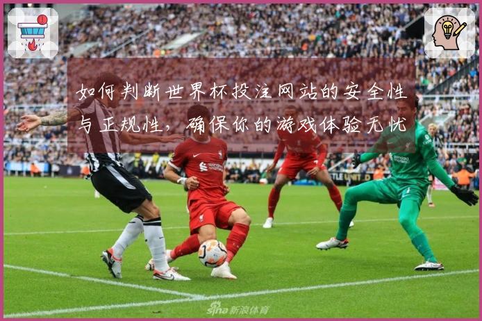 如何判断世界杯投注网站的安全性与正规性，确保你的游戏体验无忧