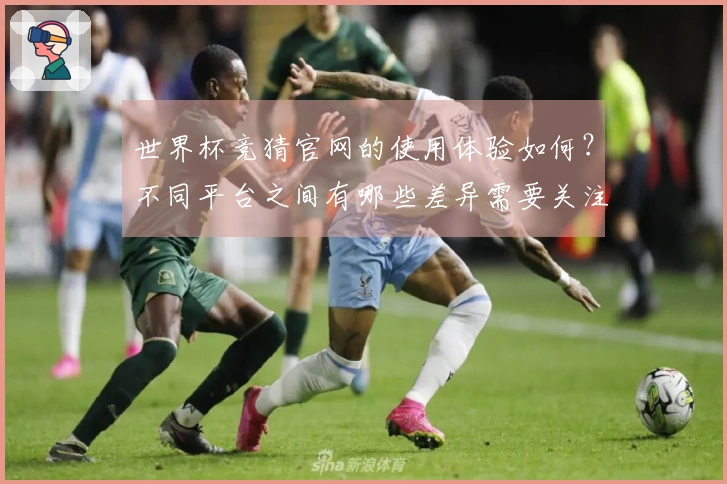 世界杯竞猜官网的使用体验如何？不同平台之间有哪些差异需要关注？