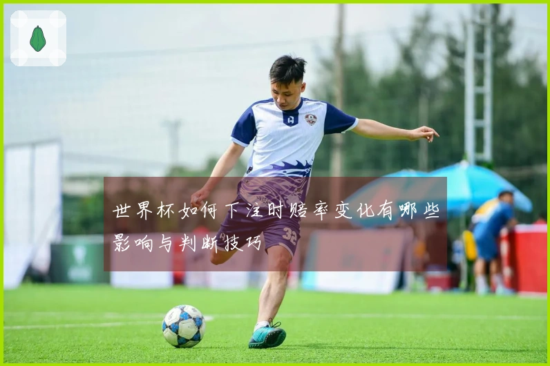 世界杯如何下注时赔率变化有哪些影响与判断技巧