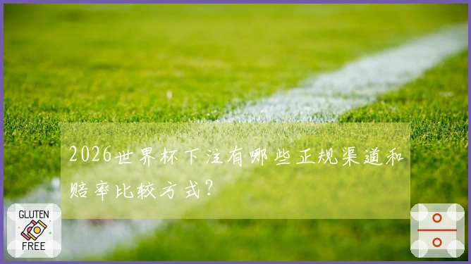 2026世界杯下注有哪些正规渠道和赔率比较方式？
