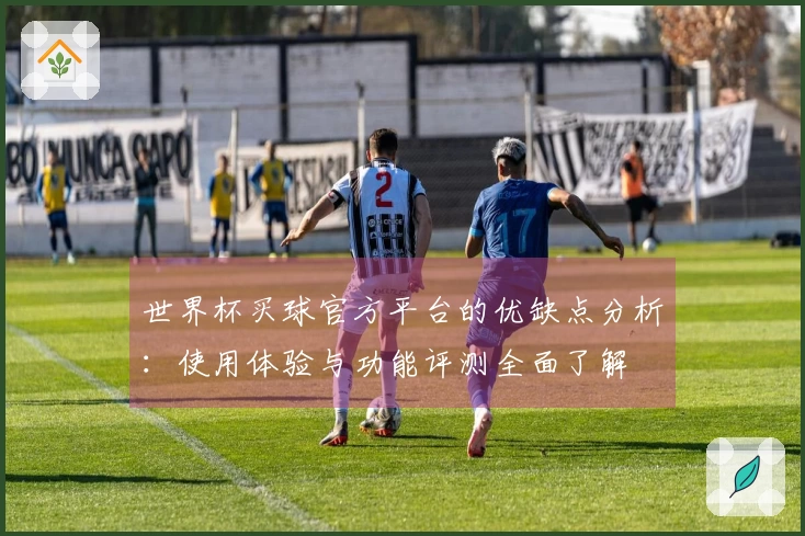 世界杯买球官方平台的优缺点分析：使用体验与功能评测全面了解