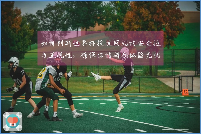 如何判断世界杯投注网站的安全性与正规性，确保你的游戏体验无忧