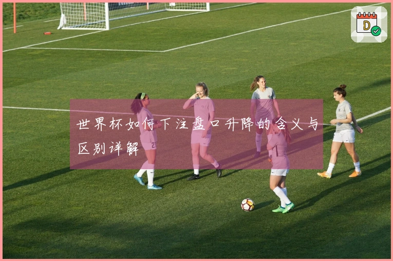 世界杯如何下注盘口升降的含义与区别详解