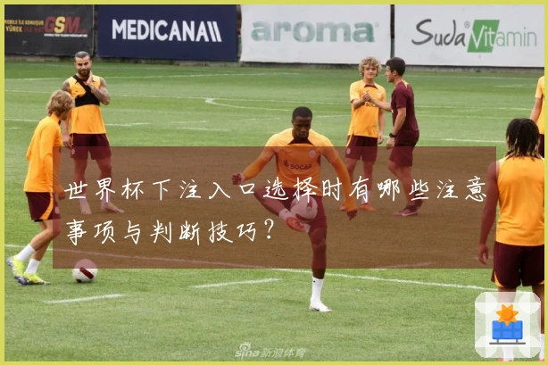世界杯下注入口选择时有哪些注意事项与判断技巧？