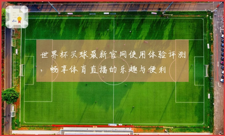 世界杯买球最新官网使用体验评测，畅享体育直播的乐趣与便利