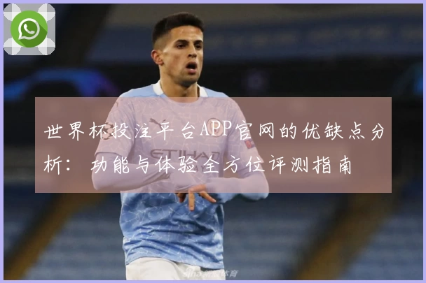 世界杯投注平台APP官网的优缺点分析：功能与体验全方位评测指南