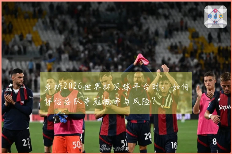 分析2026世界杯买球平台时，如何评估各队夺冠概率与风险？