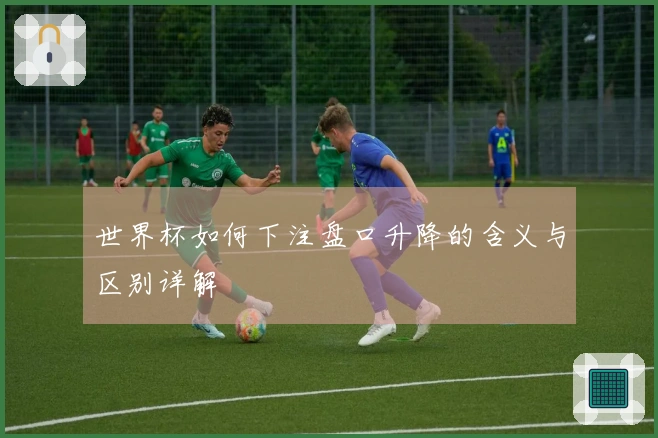 世界杯如何下注盘口升降的含义与区别详解