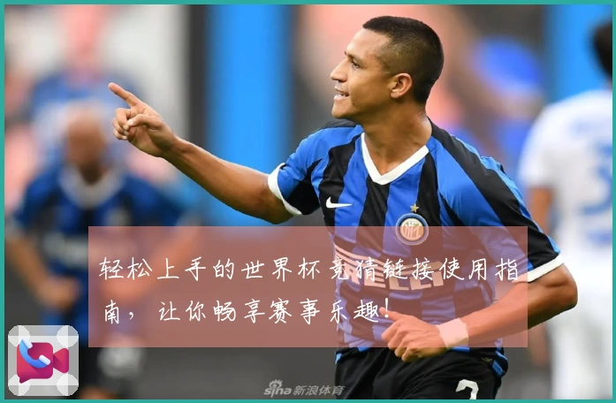 轻松上手的世界杯竞猜链接使用指南，让你畅享赛事乐趣！