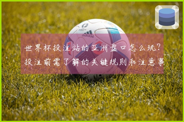 世界杯投注站的亚洲盘口怎么玩？投注前需了解的关键规则和注意事项