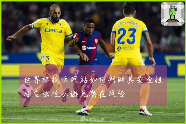 世界杯投注网站如何判断其安全性与合法性以避免潜在风险