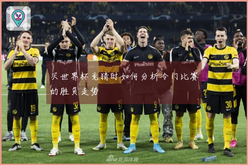买世界杯竞猜时如何分析冷门比赛的胜负走势