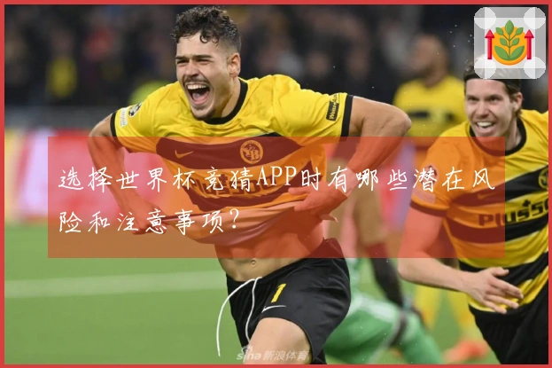 选择世界杯竞猜APP时有哪些潜在风险和注意事项？