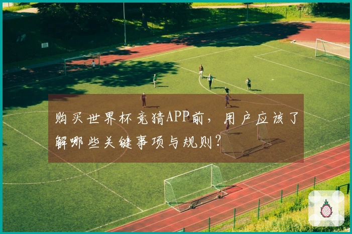 购买世界杯竞猜APP前，用户应该了解哪些关键事项与规则？