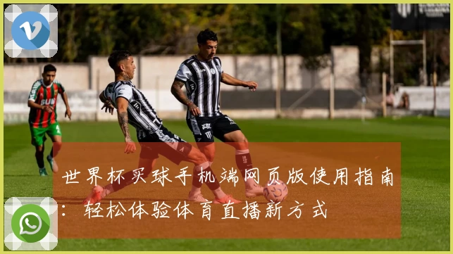 世界杯买球手机端网页版使用指南：轻松体验体育直播新方式