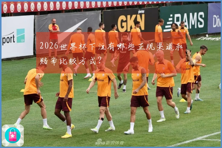 2026世界杯下注有哪些正规渠道和赔率比较方式？