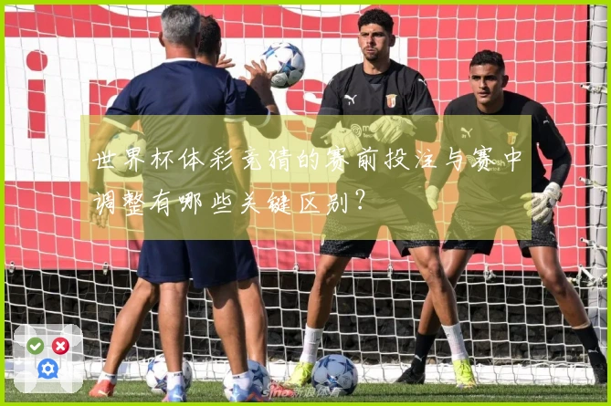 世界杯体彩竞猜的赛前投注与赛中调整有哪些关键区别？